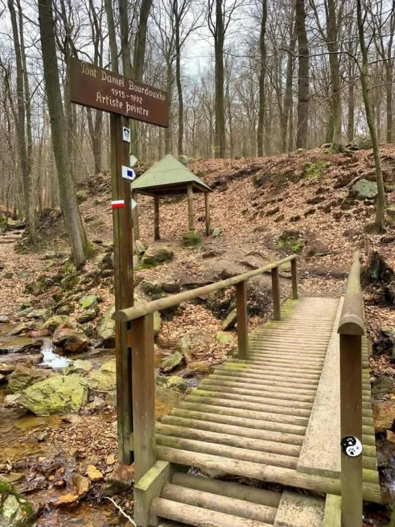 Waldspaziergang im Hohen Venn